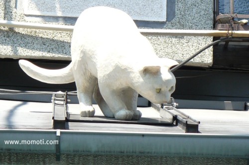 ねこ